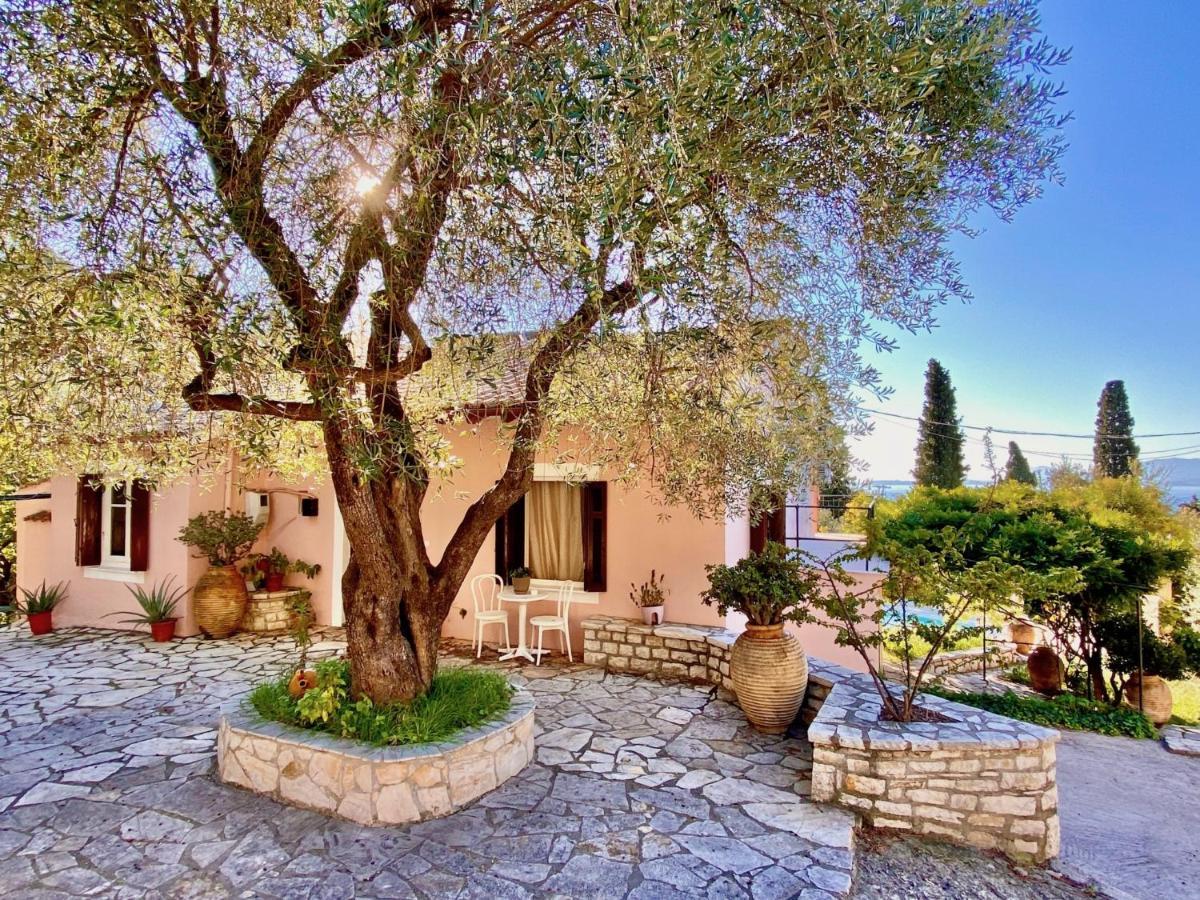 Villa Aliki Nissaki With Private Pool By Dadovillas Nisaki  Exterior foto